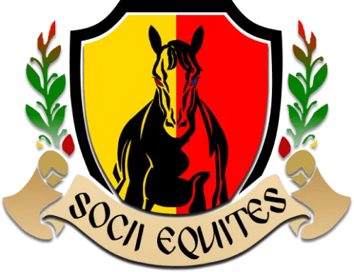 Logo Socii Equites SAS